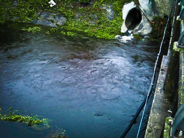 Storm Drain